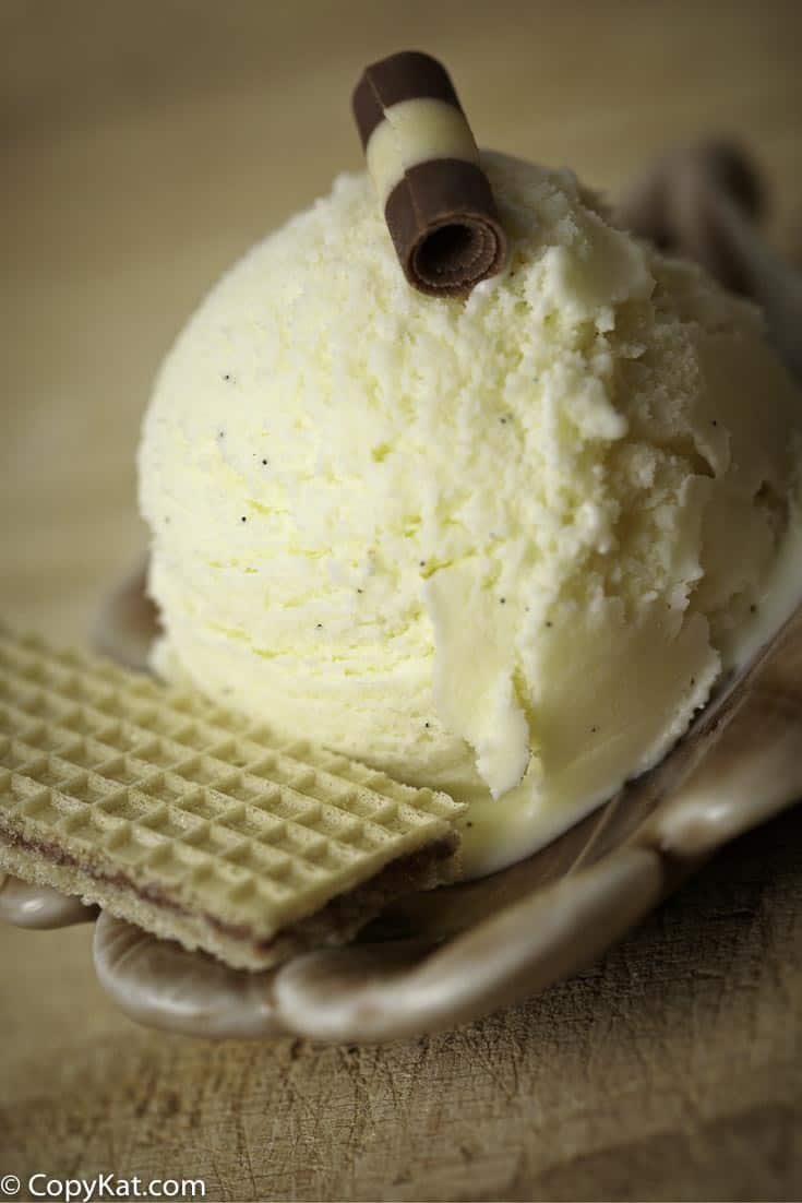 Make easy to prepare No Churn Vanilla Bean Ice Cream.