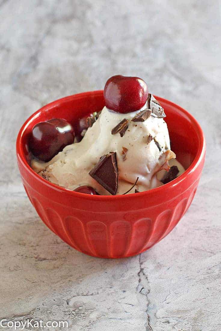 A bowl of homemade Ben and Jerry's Cherry Garcia Ice Cream