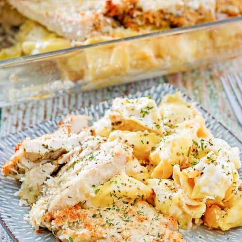 homemade Olive Garden Asiago Torgelloni Alfredo with chicken on a plate