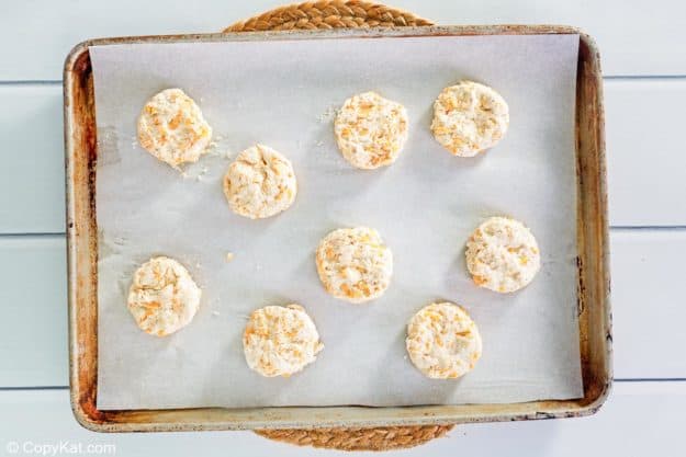 Unbaked round biscuit dough cutouts arranged on a parchment-lined baking sheet ready for the oven.