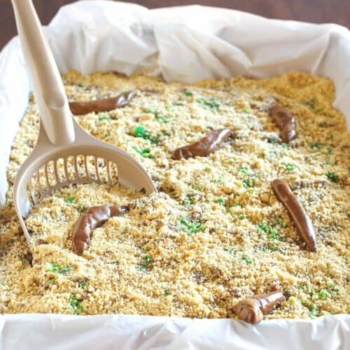 kitty litter cake in a pan.