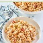 a serving of chicken and rice casserole next to the casserole in a serving bowl.