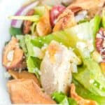 Closeup of homemade Panera fuji apple salad.