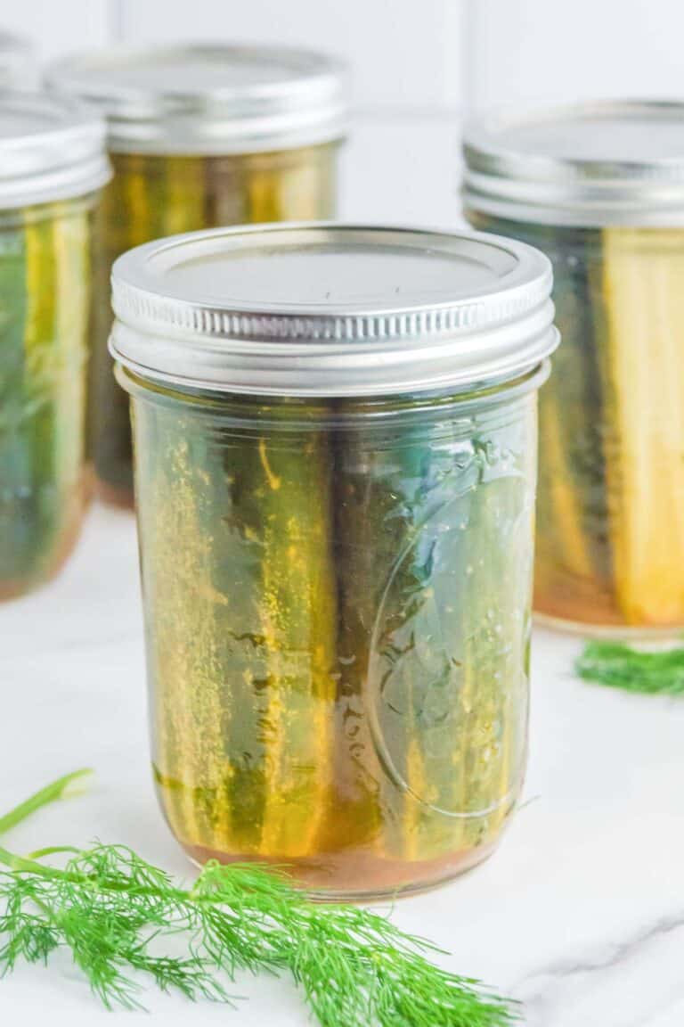 Homemade spicy dill pickles in mason jars.