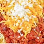 Homemade Steak 'n Shake 5 way chili.