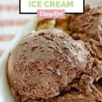 A bowl of homemade Ben & Jerry's chocolate ice cream.