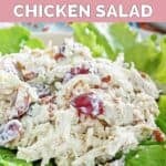 A scoop of homemade Chicken Salad Chick Fancy Nancy chicken salad on lettuce leaves.