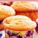 Three homemade Otis Spunkmeyer blueberry muffins.