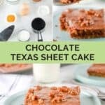 Chocolate Texas sheet cake ingredients and a slice of the cake.