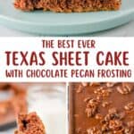 Homemade Texas Sheet cake, a slice on a plate, and a piece on a fork.