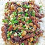 Stir-fried beef and vegetables with Mongolian sauce.