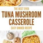 Tuna mushroom noodle casserole baked and served, and the ingredients to make it.
