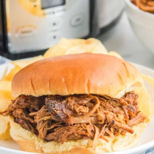 A sandwich with shredded barbecue pork and on a plate.