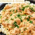 Crockpot chicken and gravy over rice.