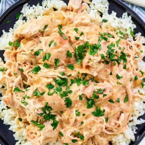 Shredded chicken and creamy gravy over rice.