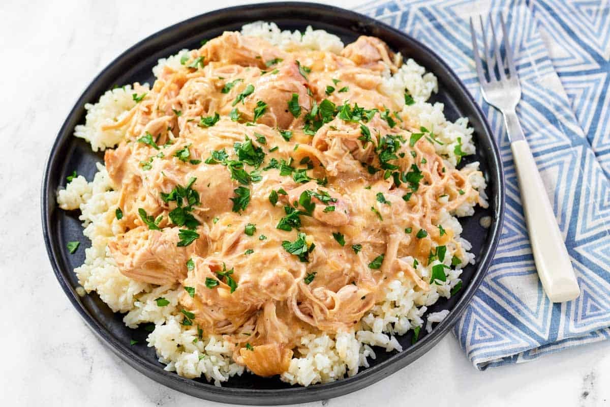 Shredded chicken and creamy sauce served over rice.